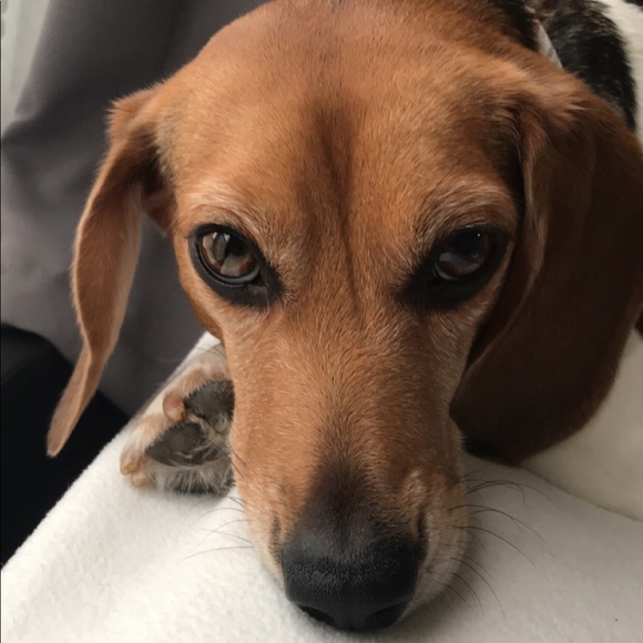 Meet your Posher, Fabian - Picture 1 of 1